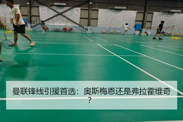 曼联锋线引援首选：奥斯梅恩还是弗拉霍维奇？